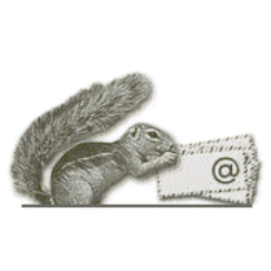 Morke catalog image