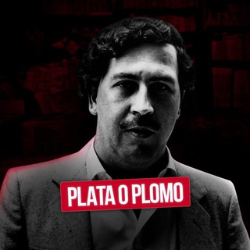 Plata o Plomo catalog image